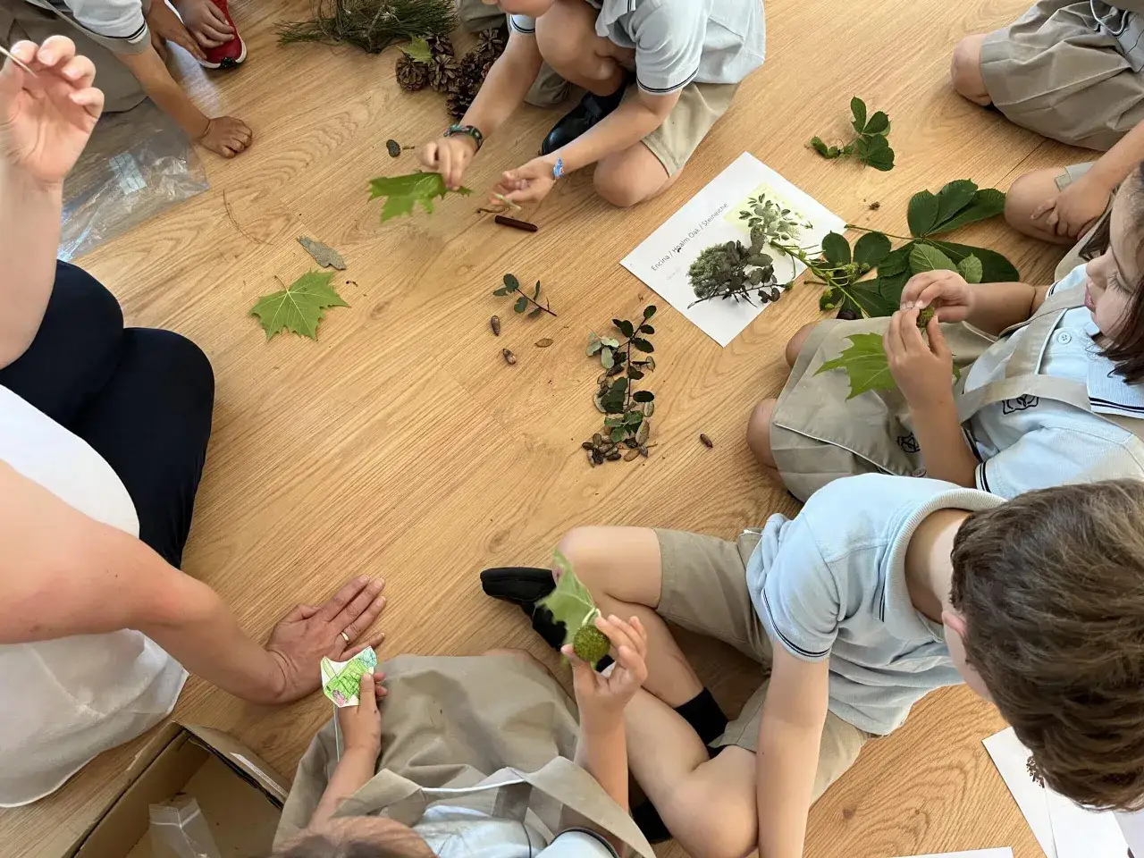 Ni&ntilde;os exploran la naturaleza, recolectando hojas y pi&ntilde;as. Ejemplos de proyectos educativos que fomentan el aprendizaje pr&aacute;ctico y la conexi&oacute;n con el entorno.