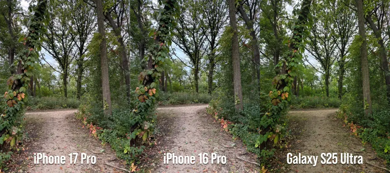 Porównanie zdjęć z iPhone 17 Pro, iPhone 16 Pro i Galaxy S25 Ultra. W lesie, na ścieżce, widać różnice w jakości obrazu.