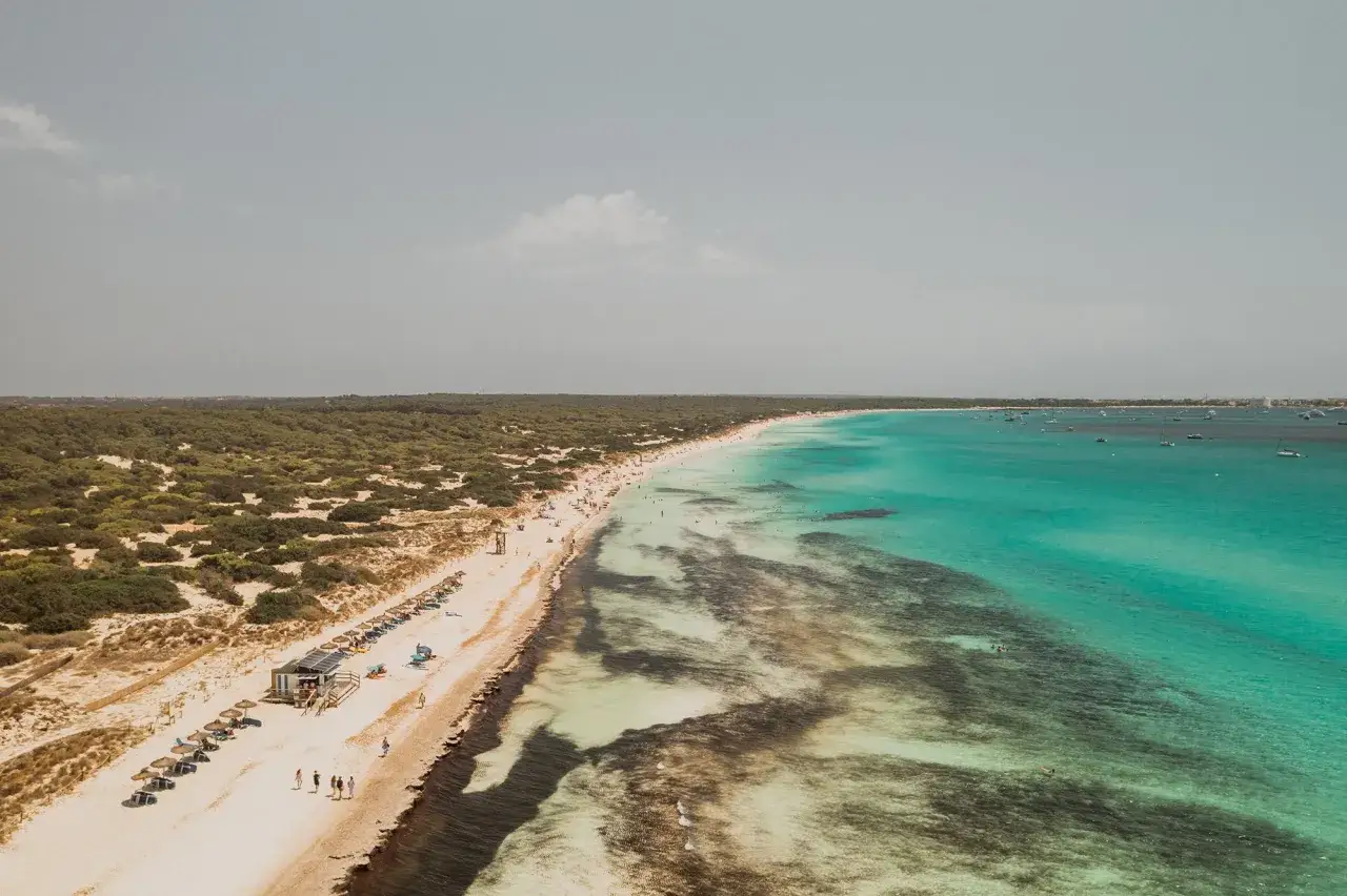Traumhafter Blick auf die Playa de Muro mit t&uuml;rkisfarbenem Wasser, Sandstrand, Liegen und vielen Booten im Meer.