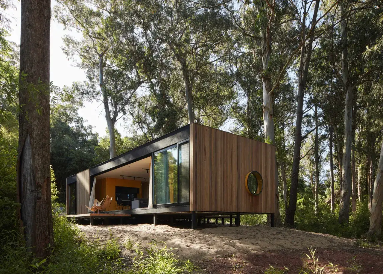 Nowoczesny tiny house w polskim lesie, z drewnianą elewacją i dużymi przeszkleniami, otoczony wysokimi drzewami.