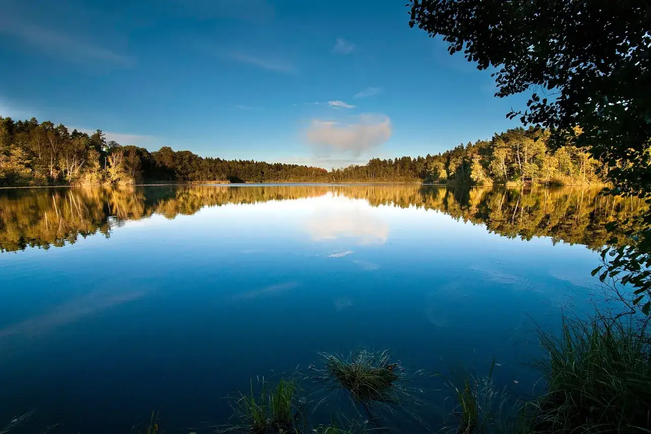 Spegelblank sjö med skog och himmel som reflekteras. Perfekt för utomhusaktiviteter Stockholm.