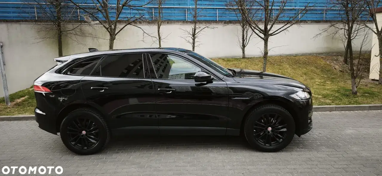 Czarny jaguar F-Pace lśni w słońcu, gotowy do nocnego polowania na miejskie ulice.