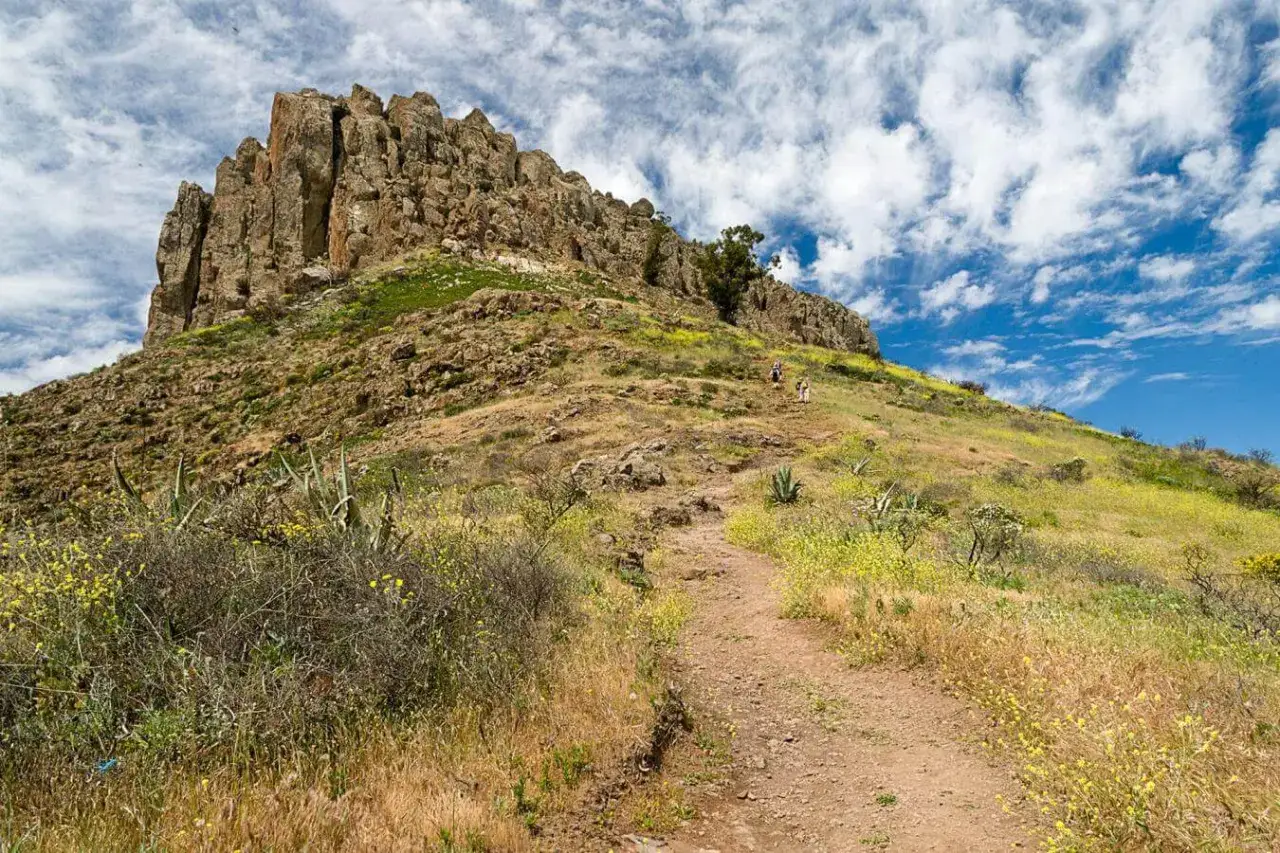 Sendero que asciende hacia la imponente fortaleza de Chipude, rodeado de vegetación y flores amarillas bajo un cielo azul con nubes.