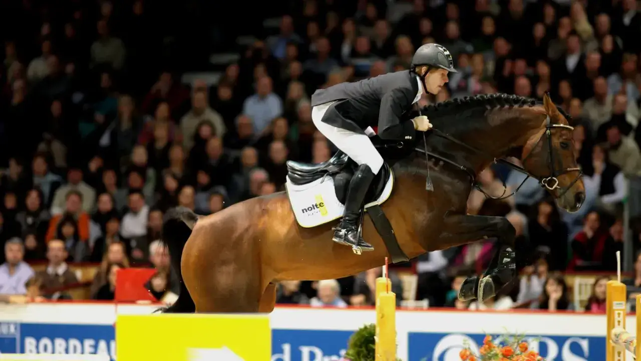 Le jeune Sandro, cavalier concentré, franchit un obstacle avec son cheval brun devant une foule attentive.