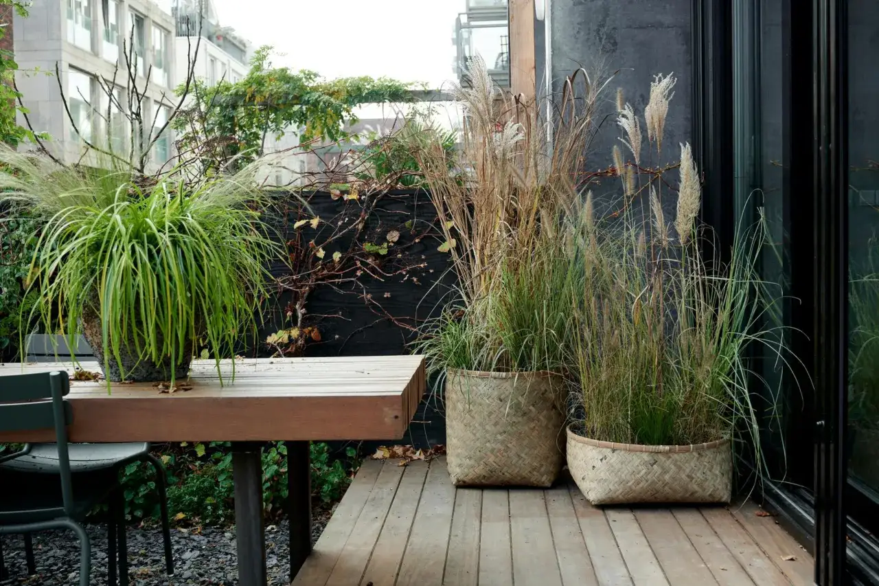 Moderne, schlichte Gartengestaltung mit Ziergr&auml;sern in geflochtenen K&ouml;rben und einer &uuml;ppigen Pflanze auf einem Holztisch.