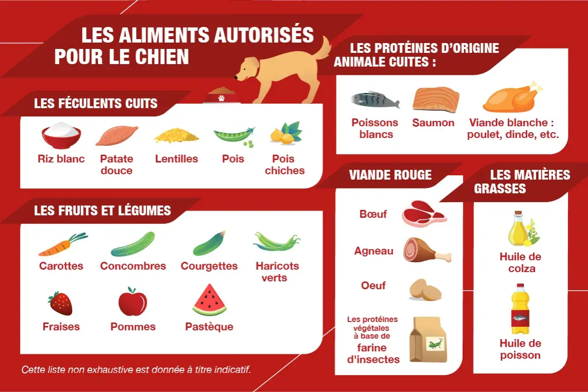 Guide pour une cuisine pour chien : 50 recettes santé. Aliments autorisés : riz, patate douce, lentilles, pois, carottes, courgettes, fraises, pommes, poisson, poulet, bœuf, agneau, œuf, huile.