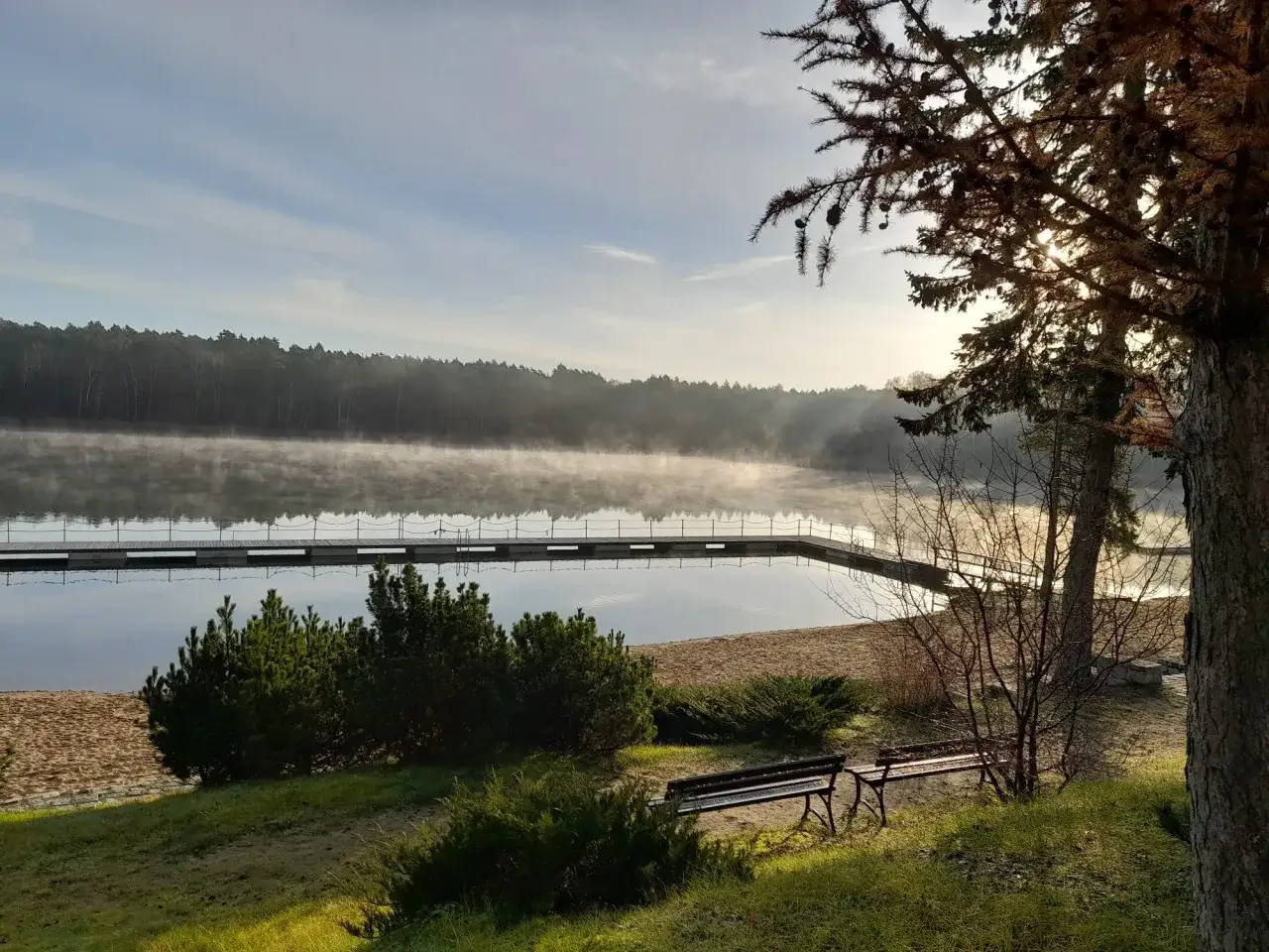 Mglisty poranek nad jeziorem. Drewniany pomost wchodzi w wodę, a na brzegu stoją ławki. W oddali las, a na pierwszym planie drzewo z szyszkami. **Skalno**-widok jak z bajki.