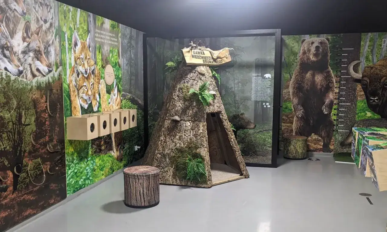W muzeum przyrodniczym zobaczysz wilki, rysie, niedźwiedzia brunatnego i żubra. Interaktywna gawra niedźwiedzia zachęca do odkrywania.