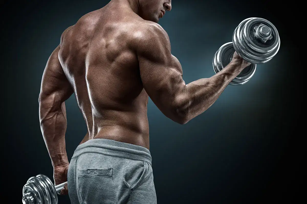 Mięśnie bicepsa i hantel