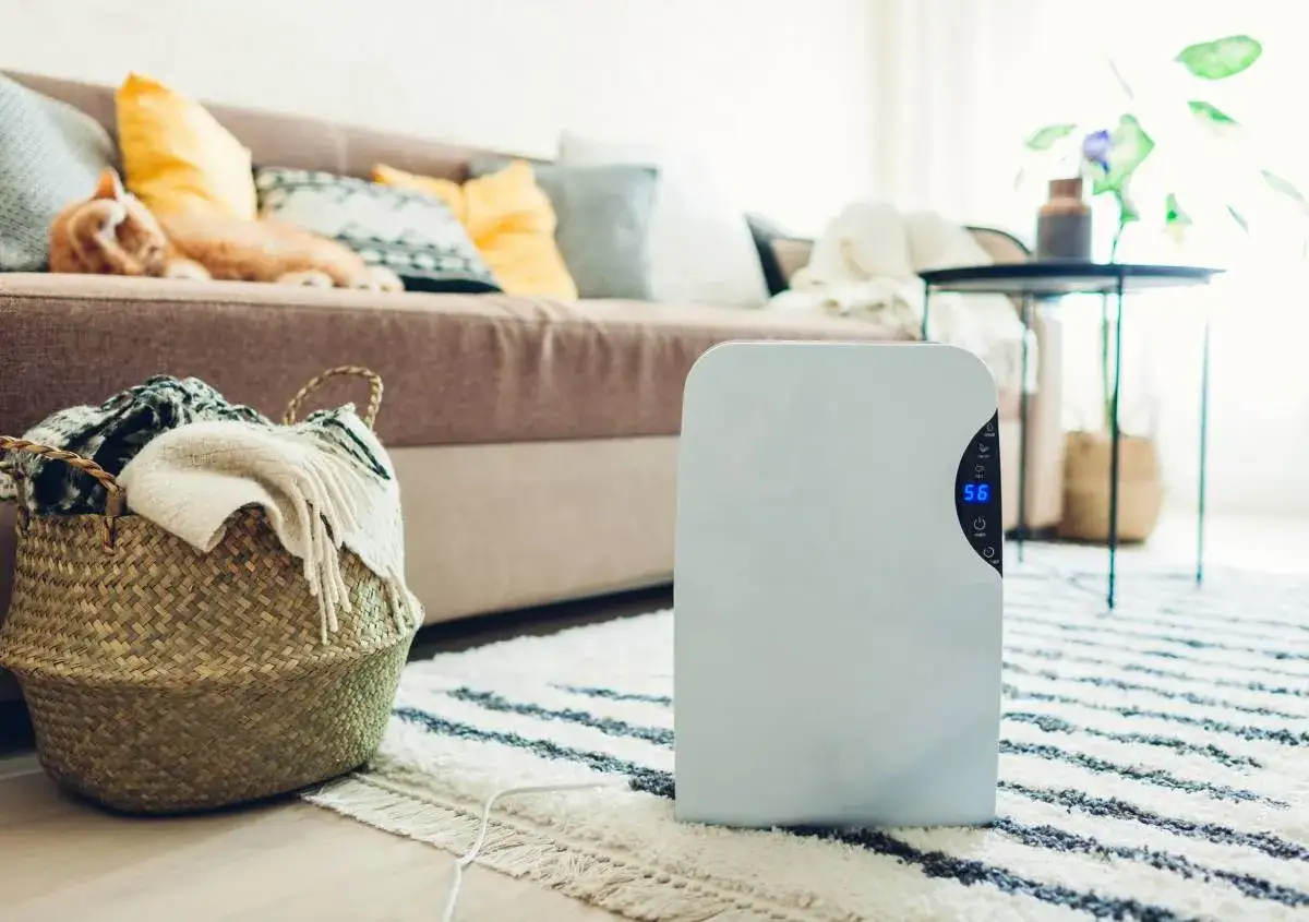 Un deumidificatore bianco mostra 56% di umidità, ideale per sapere come impostare il deumidificatore in estate per un ambiente confortevole.