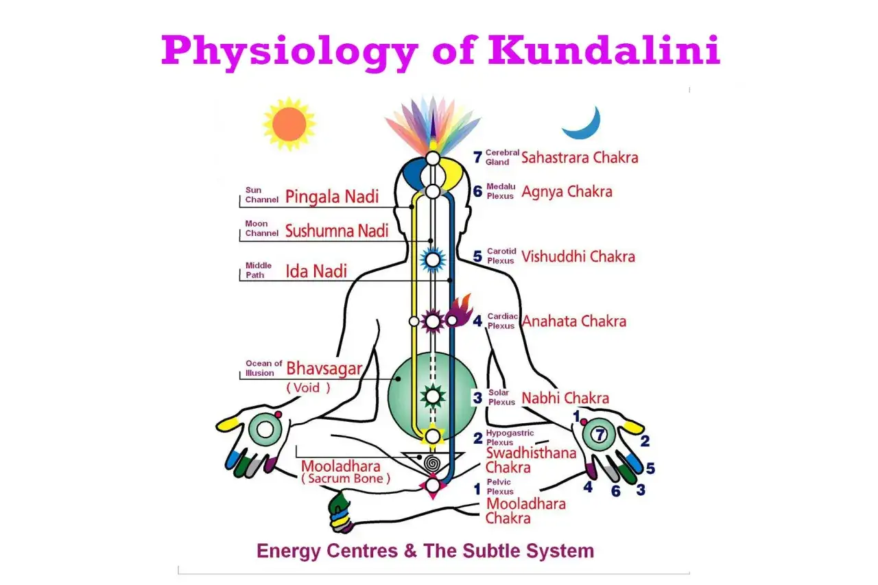 Schemat przedstawia fizjologię kundalini, pokazując kanały Ida, Pingala, Sushumna i czakry.