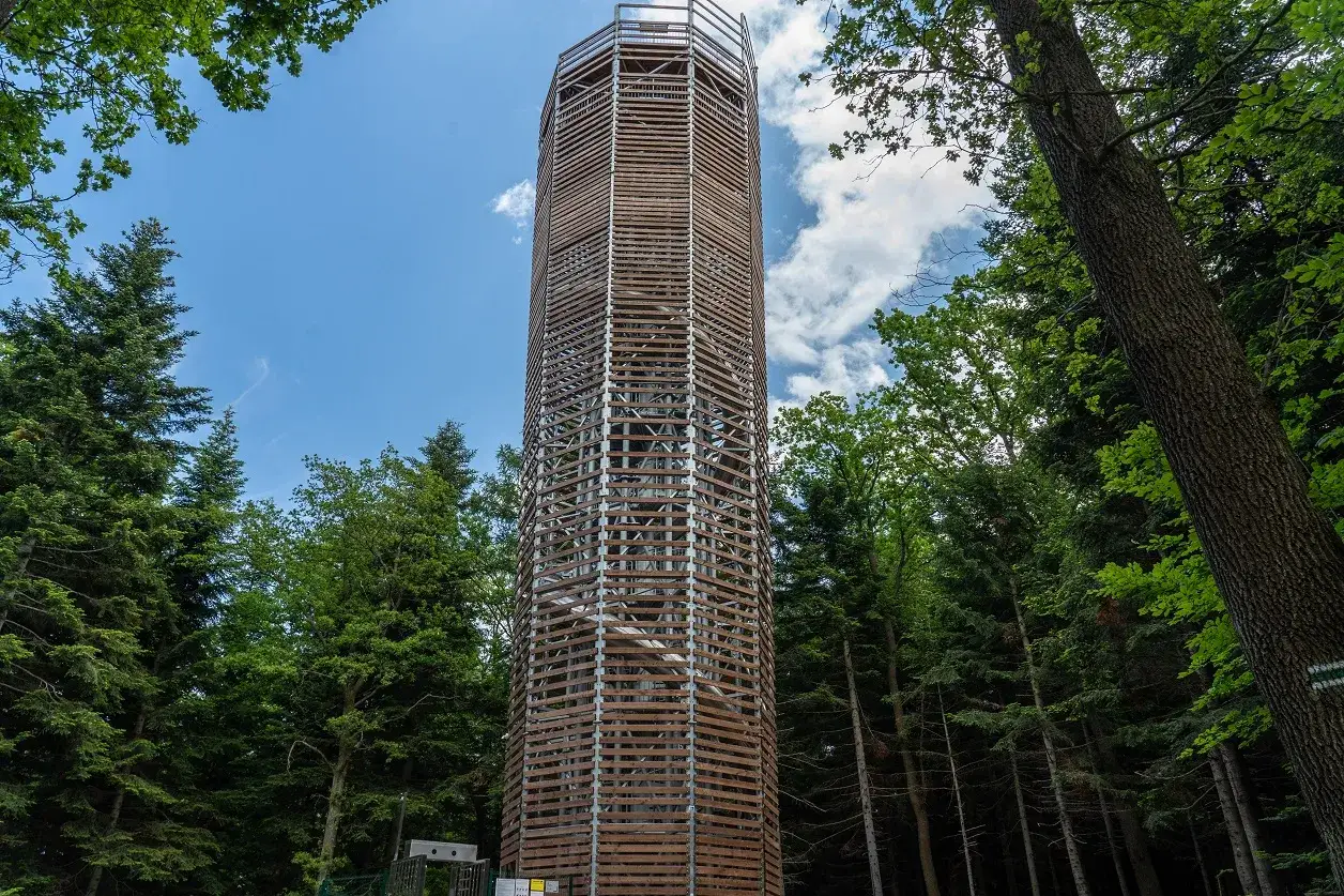 Wysoka, drewniana wieża widokowa Ferdel wznosi się pośród gęstego lasu, zapraszając do podziwiania panoramy.