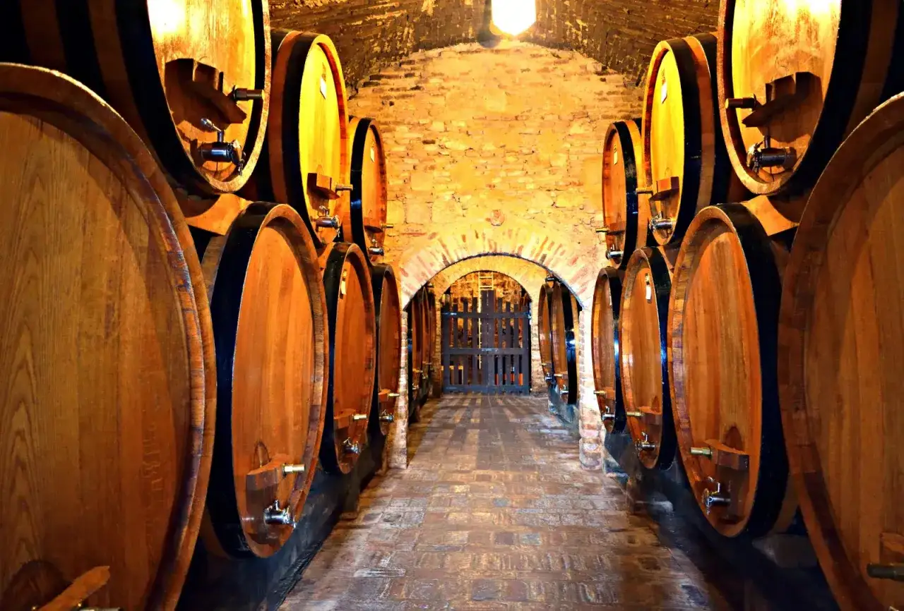 Cantina con botti di legno, dove riposa un pregiato vino da vitigno autoctono.