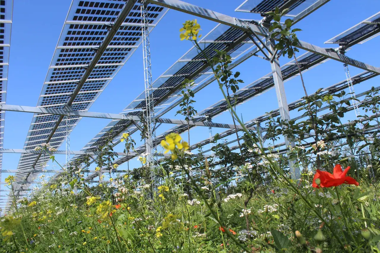 Blühende Wiesen unter einer Agri-PV-Anlage. Solarenergie und Landwirtschaft im Einklang für eine nachhaltige Zukunft.