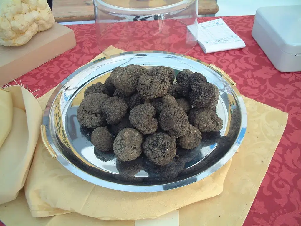 Istryjskie trufle na talerzu