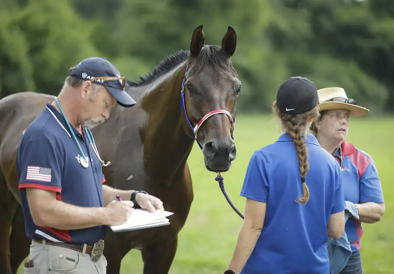 Tierarzt notiert sich wichtige Daten eines Pferdes, das für das **Distanz reiten** vorbereitet wird.