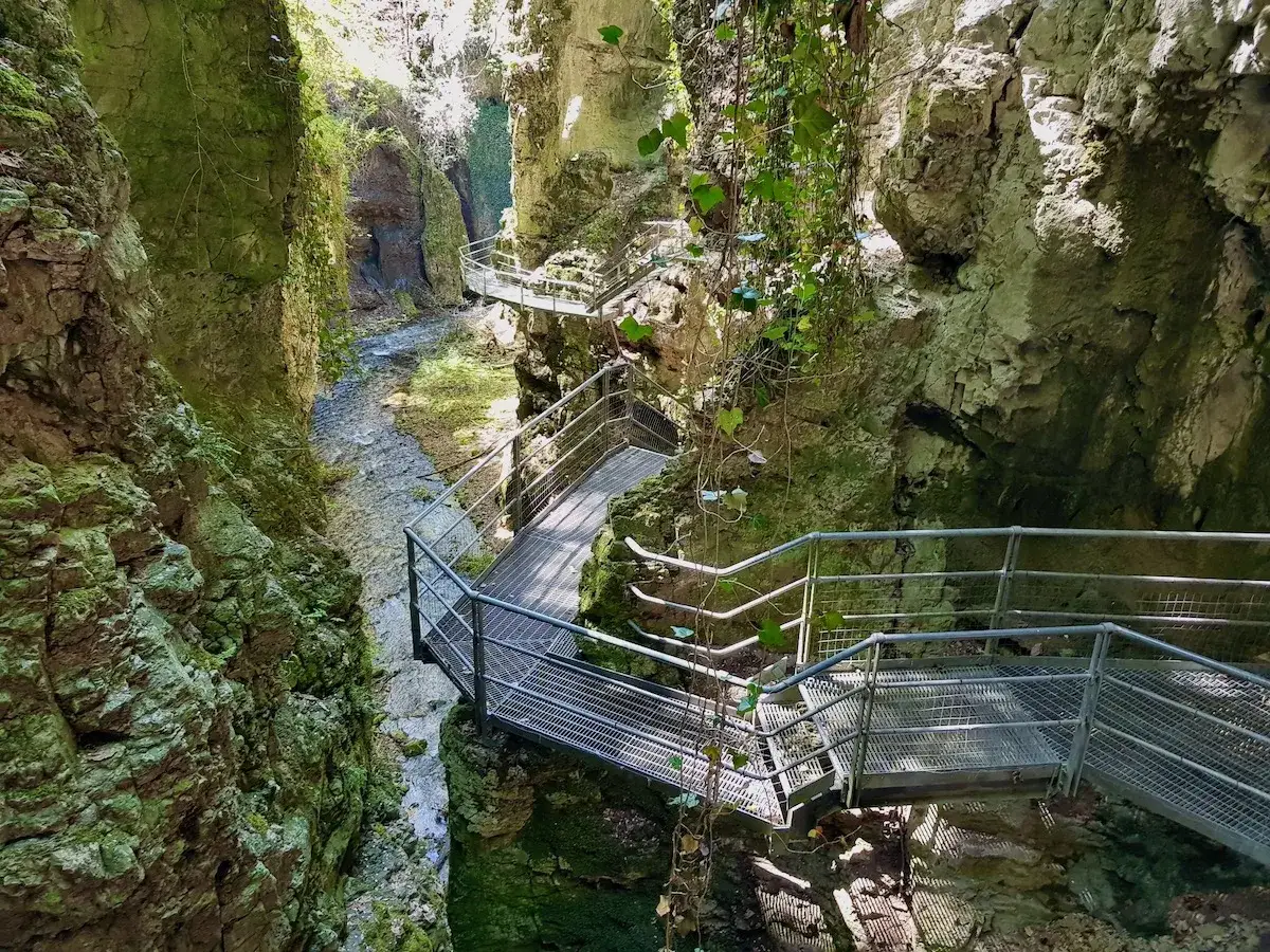Sentiero metallico si snoda nel **canyon fondo**, tra rocce verdi e un ruscello che scorre.