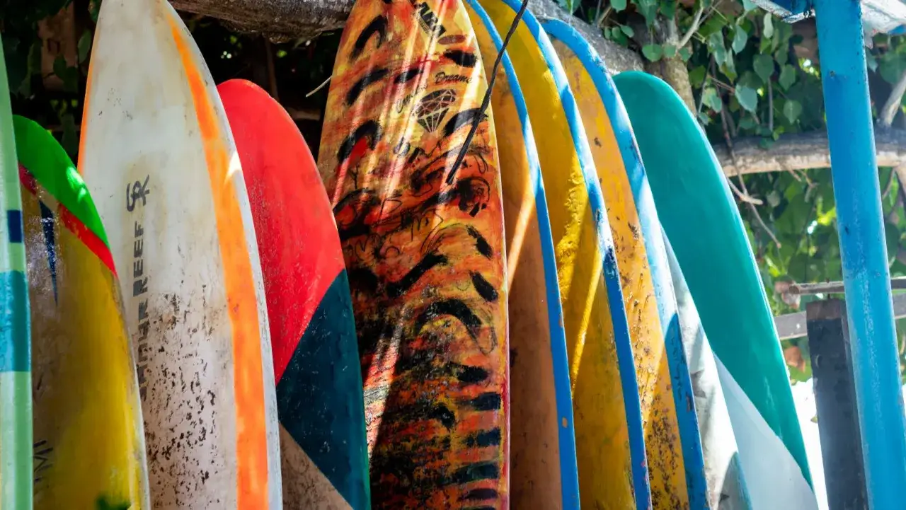 Reihe von Surfbrettern in verschiedenen Farben und Designs. Welches Surfbrett passt zu mir? Hier finden Sie sicher Inspiration für Ihren nächsten Ritt!