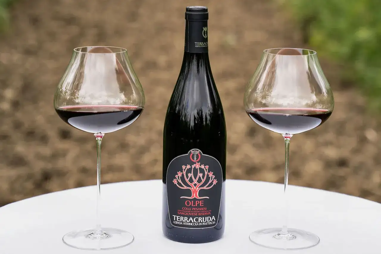 Due calici e una bottiglia di vino rosso Sangiovese Riserva. Le caratteristiche di questo vino sono evidenti nel colore intenso e nella presentazione elegante.