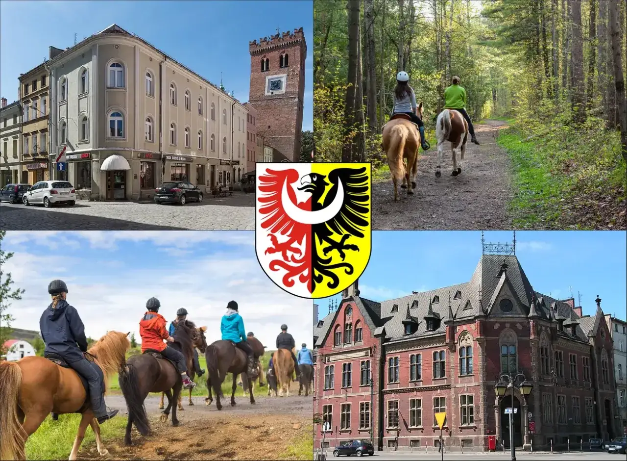 Cennik jazdy konnej Legnica por&oacute;wnanie