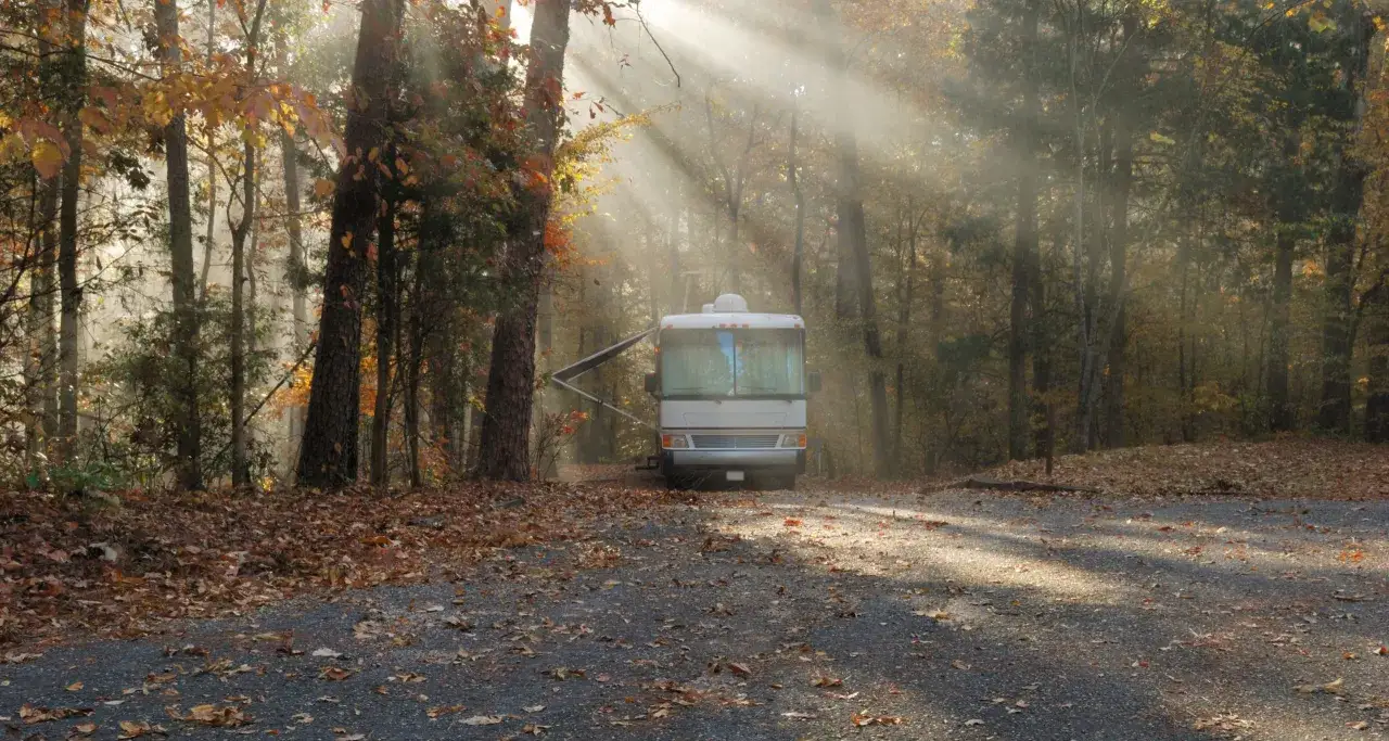 Autocaravana estacionada en un bosque otoñal, con hojas caídas y rayos de sol filtrándose entre los árboles. Es la **temporada baja** perfecta para disfrutar de la tranquilidad.