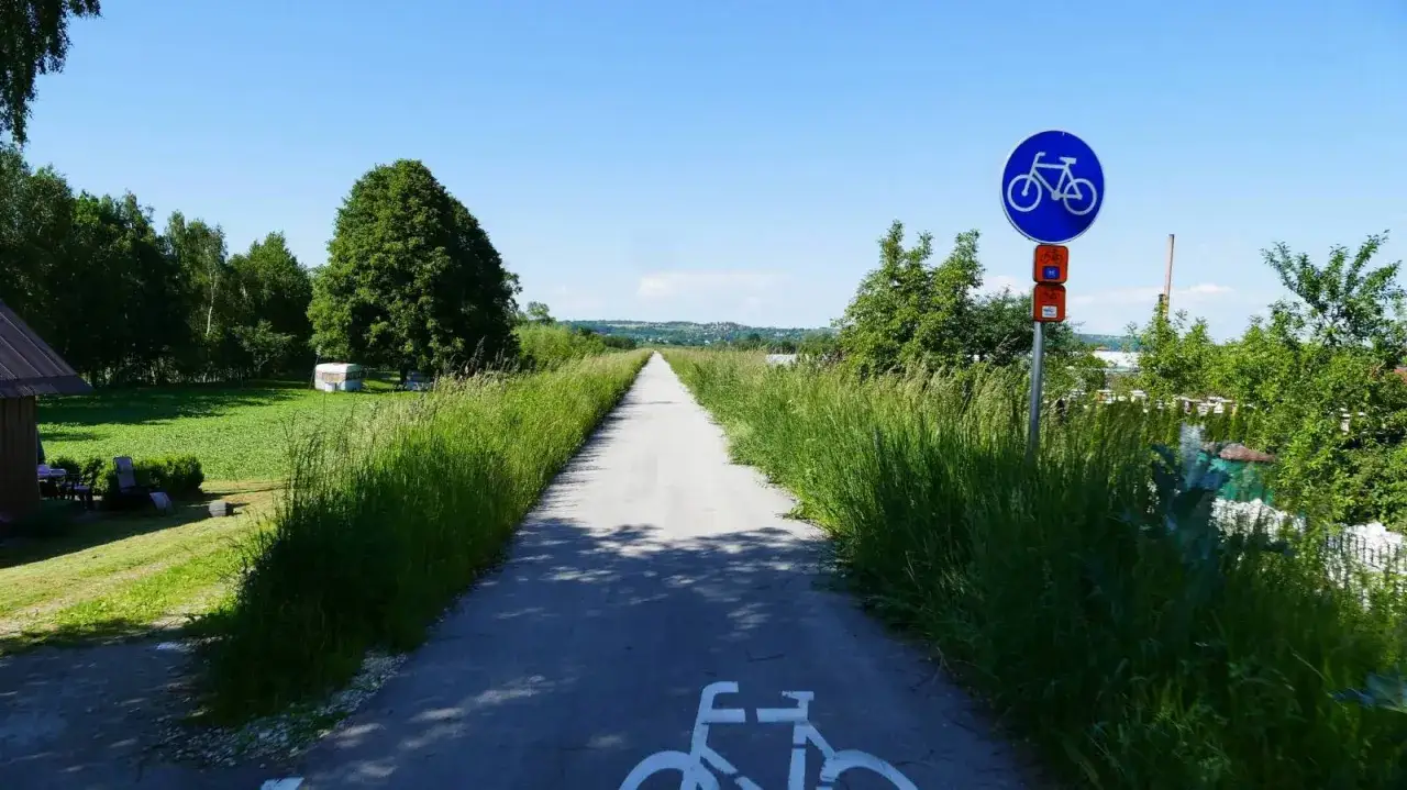 Długa, prosta ścieżka rowerowa w Nowym Sączu, otoczona zielenią, z wyraźnym znakiem drogowym dla rowerzystów.