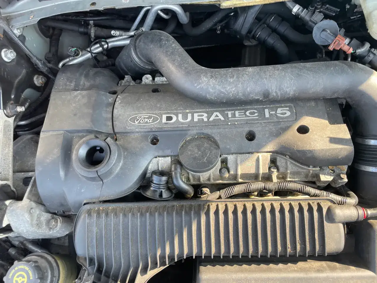 Silnik Ford Duratec-HE 1.8 lub 2.0 z zaznaczonymi miejscami regulacji luz&oacute;w zaworowych