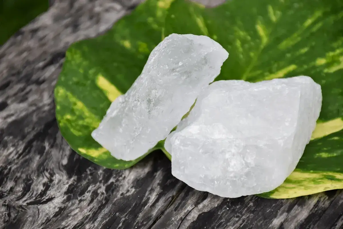 Dos trozos de piedra de alumbre, transl&uacute;cidos y blancos, reposan sobre una hoja verde y amarilla, con un fondo de madera oscura.