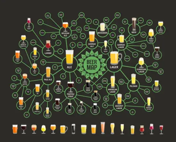 r&oacute;żne style piwa zawartość alkoholu infografika