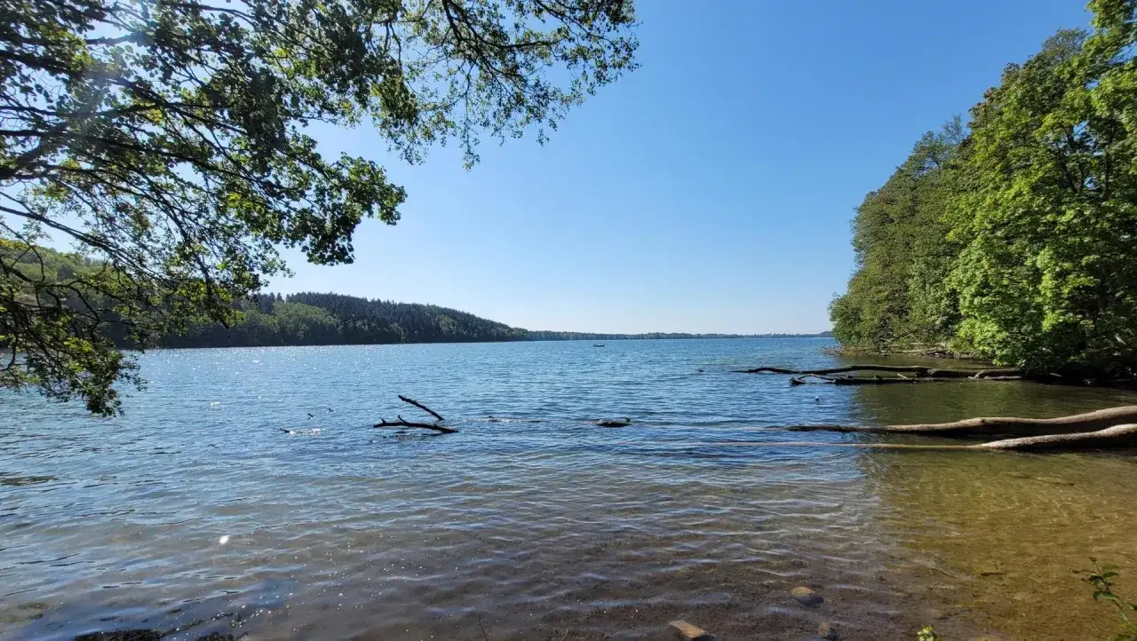 Spokojne jezioro Hańcza, otoczone zielenią, zaprasza do wypoczynku. Idealne miejsce na relaks i podziwianie natury.