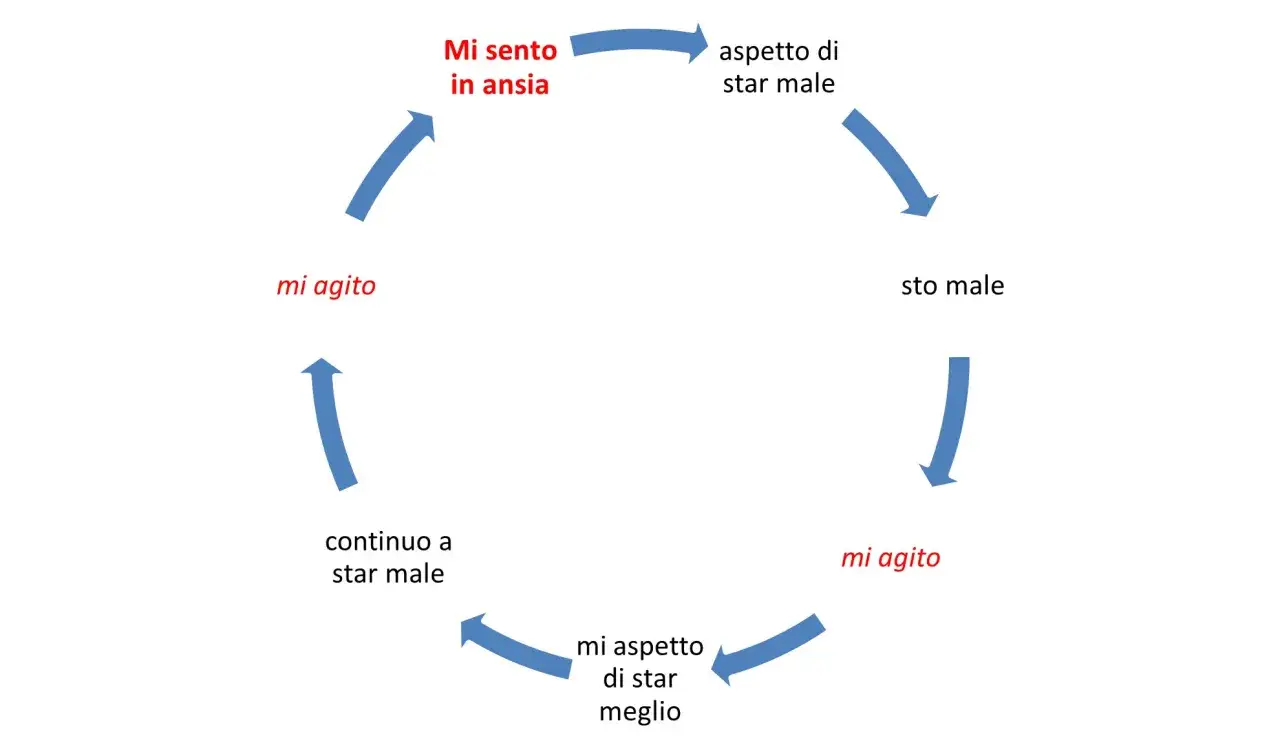 Ciclo vizioso: ansia, aspetto di star male, sto male, mi agito. La mania del controllo porta a un continuo star male, nonostante si speri di stare meglio.