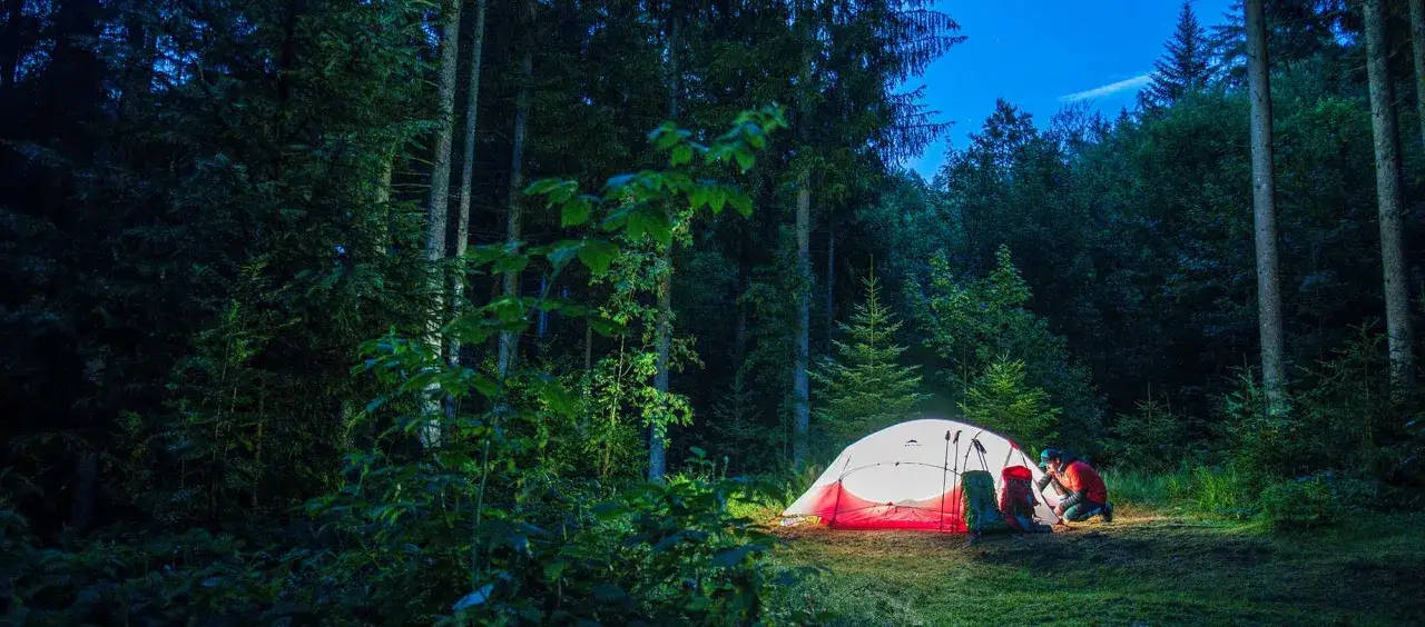 Ein beleuchtetes Zelt im dunklen Wald bei Nacht. Hier darf man im Wald zelten, ein Abenteuer beginnt.