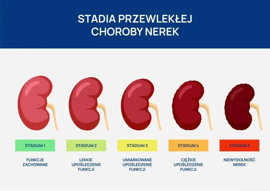 wczesne objawy chorób nerek infografika
