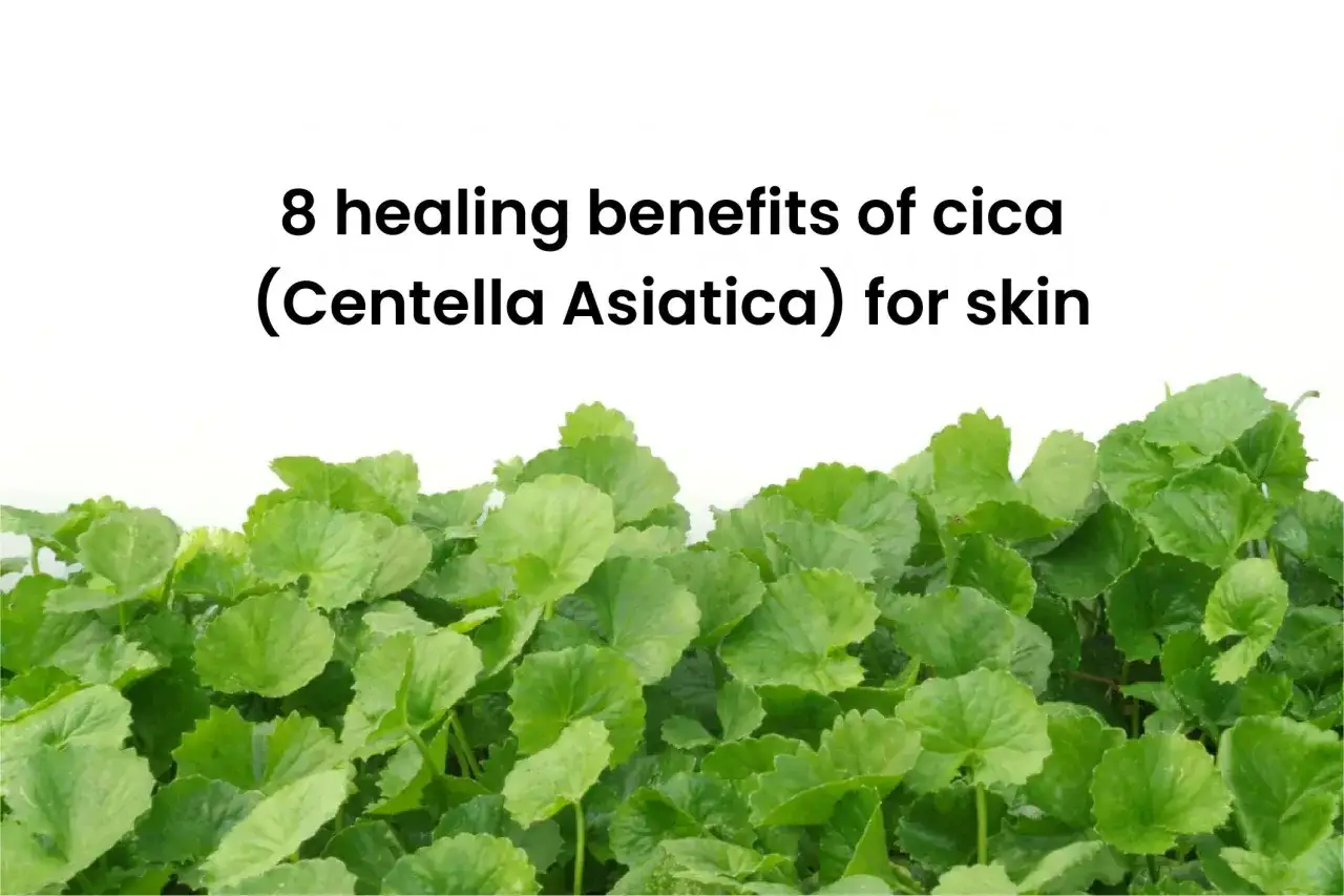 Feuilles vertes luxuriantes de Centella Asiatica, plante aux multiples bienfaits pour la peau.