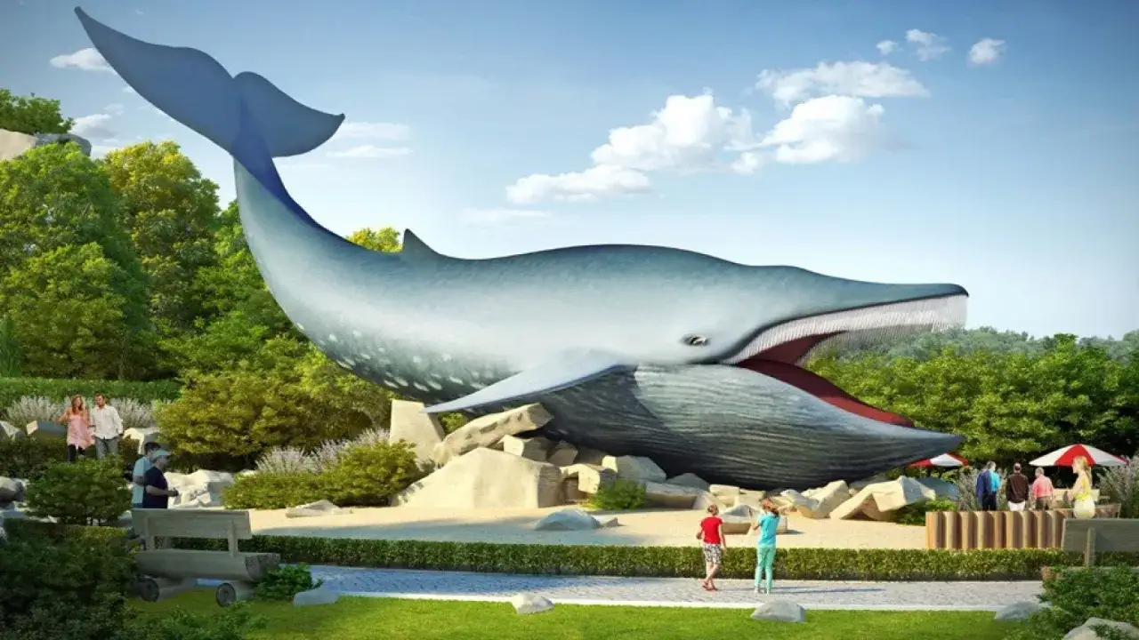 Ocean Park Władysławowo modele zwierząt morskich