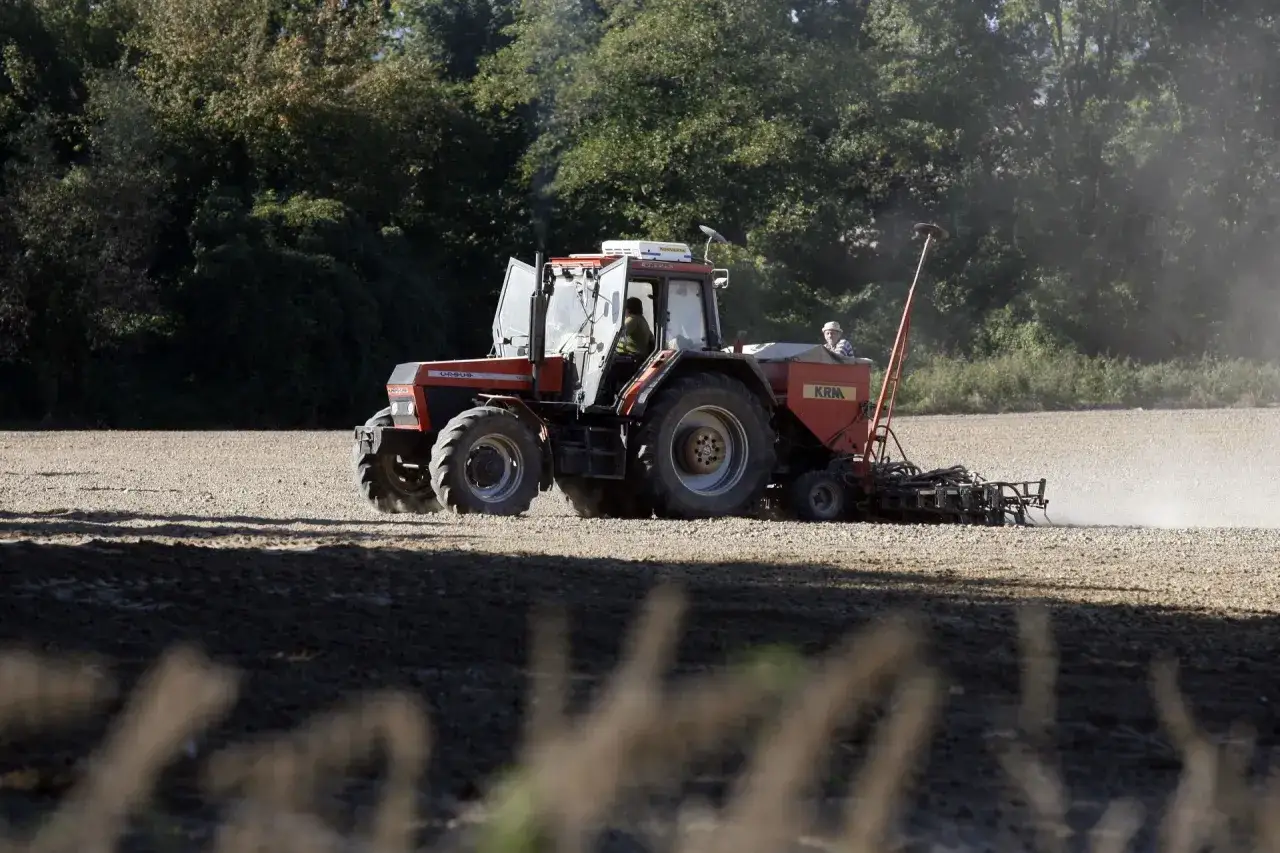 Czerwony traktor Ursus z siewnikiem KRM pracuje na polu. To obraz spokojnej emerytury z krus, gdzie praca na roli daje satysfakcję.