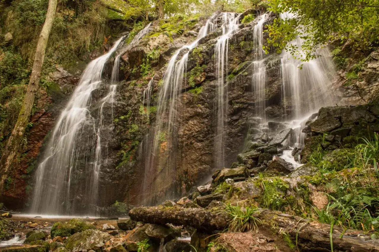 Cascada en la ruta del silencio, con agua cayendo sobre rocas cubiertas de musgo y vegetaci&oacute;n exuberante.