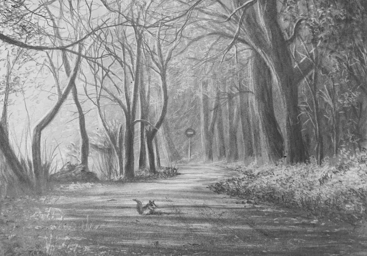 Dessin d'un chemin forestier avec un &eacute;cureuil, un panneau et un feuillage d'hiver. Un dessin feuillage facile &agrave; admirer.