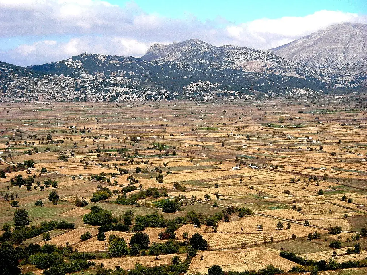 Vaste &eacute;tendue de champs cultiv&eacute;s et d'arbres dispers&eacute;s sur le plateau de Lassithi, sous un ciel bleu parsem&eacute; de nuages. Des montagnes rocailleuses dominent l'horizon.