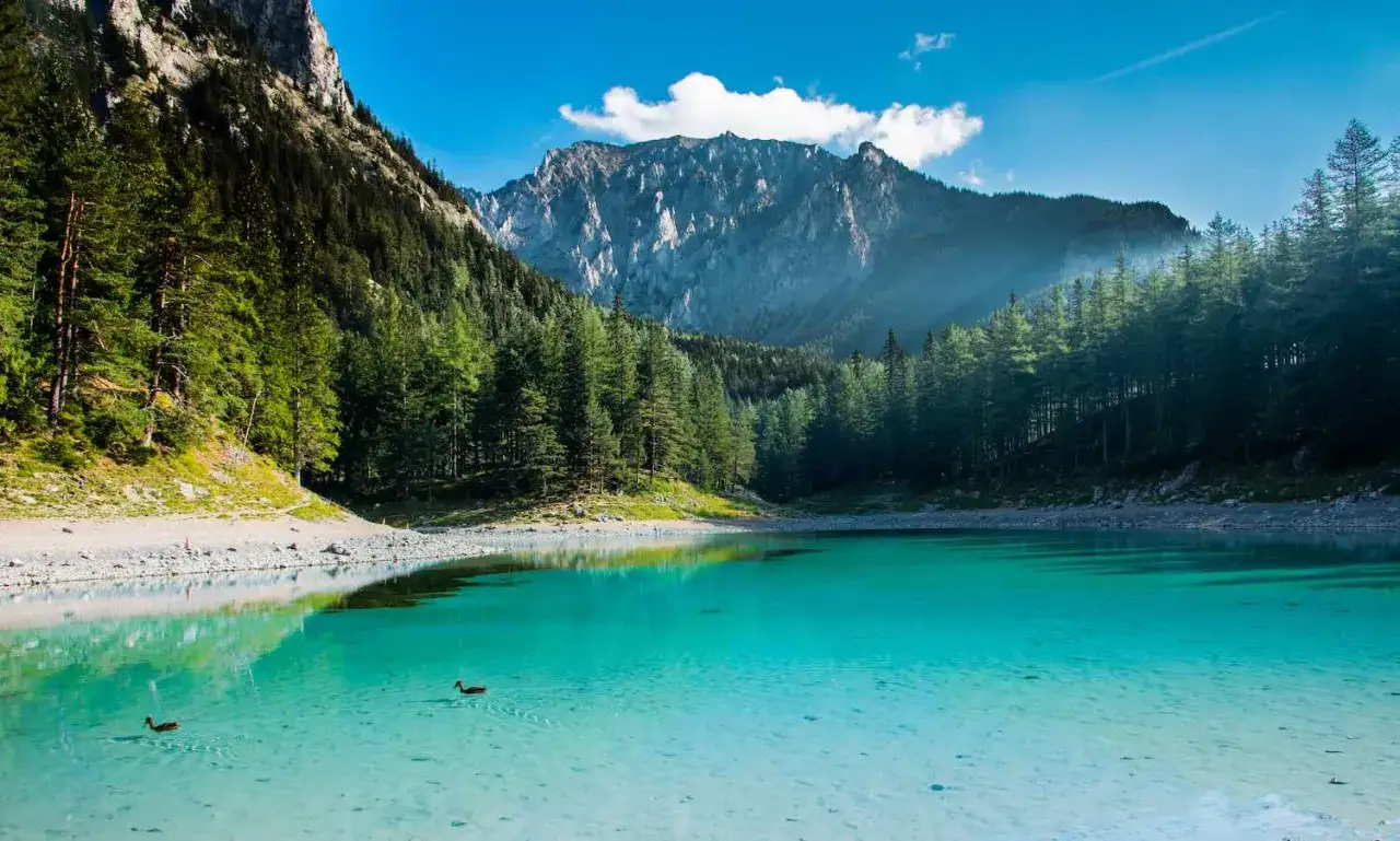 Un lac vert émeraude en Autriche, entouré de montagnes majestueuses et de forêts denses. Deux canards nagent paisiblement dans ses eaux cristallines.