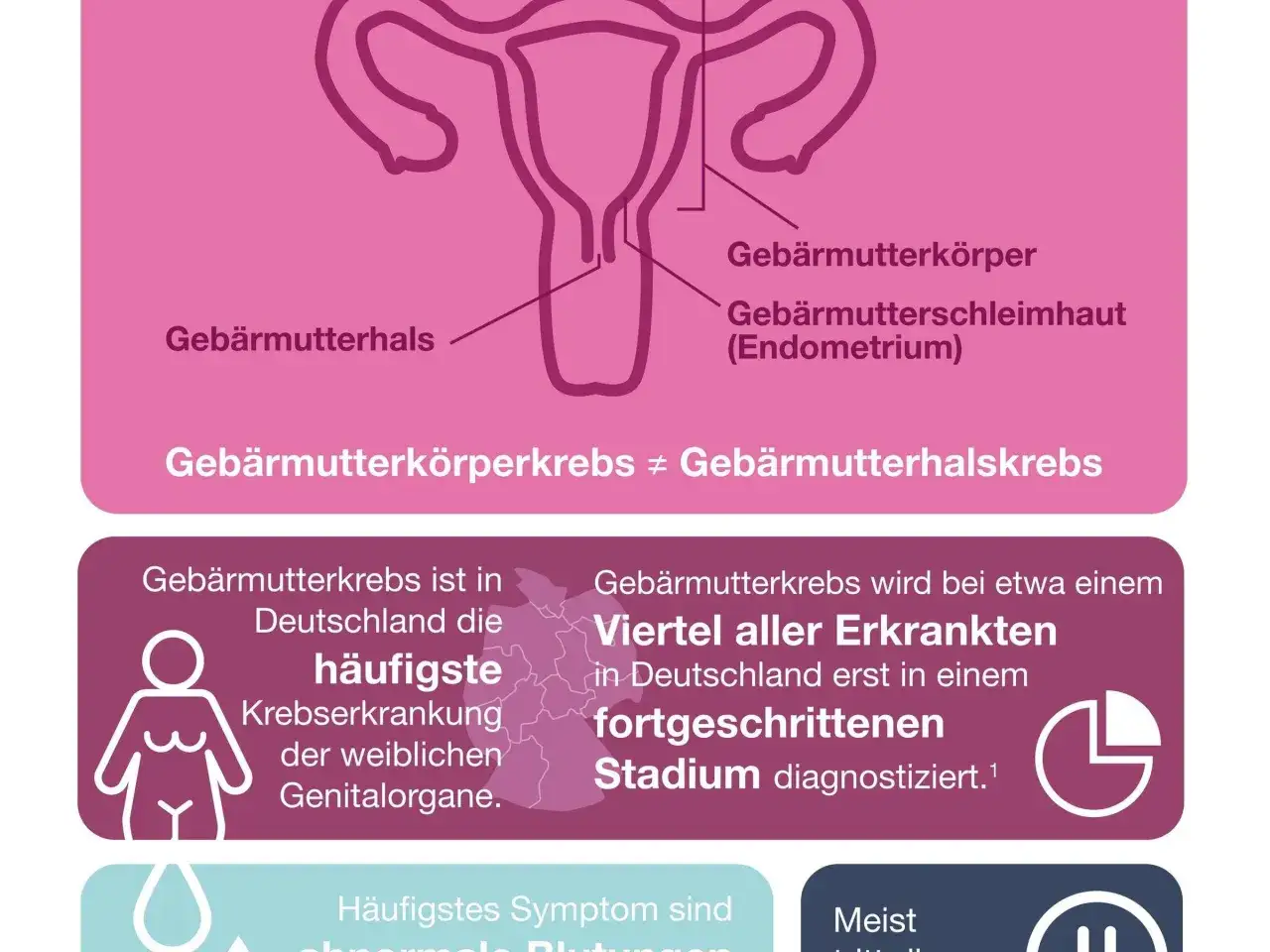 Risikofaktoren Gebärmutterkrebs Infografik