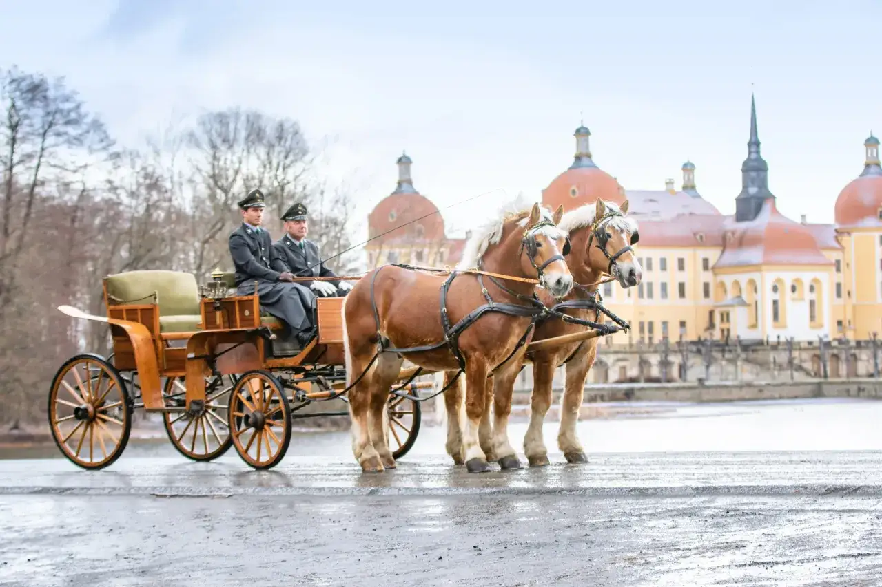 Zwei kräftige Arbeitspferde-Rassen ziehen eine Kutsche vor einem Schloss.