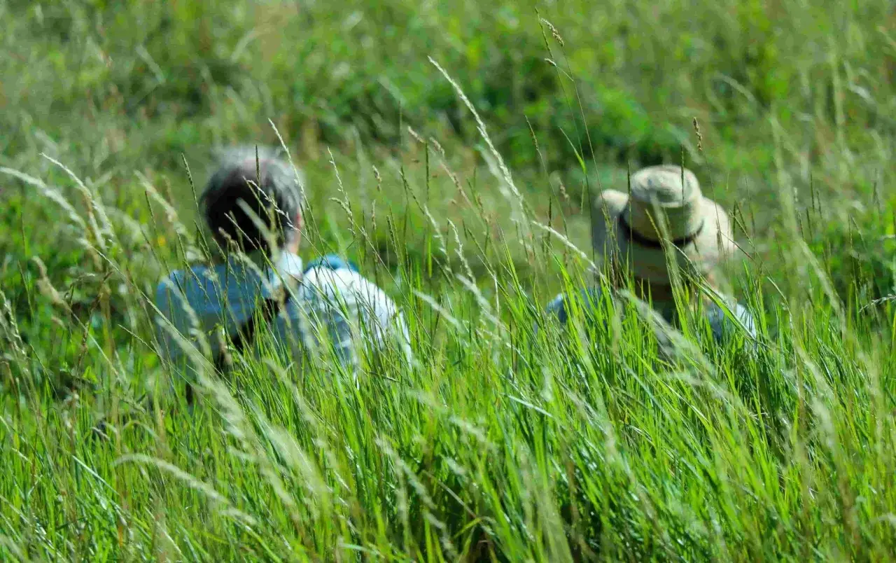 Zwei Personen sitzen im hohen Gras. Die Frage, wie lange braucht Gras zum wachsen, wird hier durch die &uuml;ppige Vegetation beantwortet.