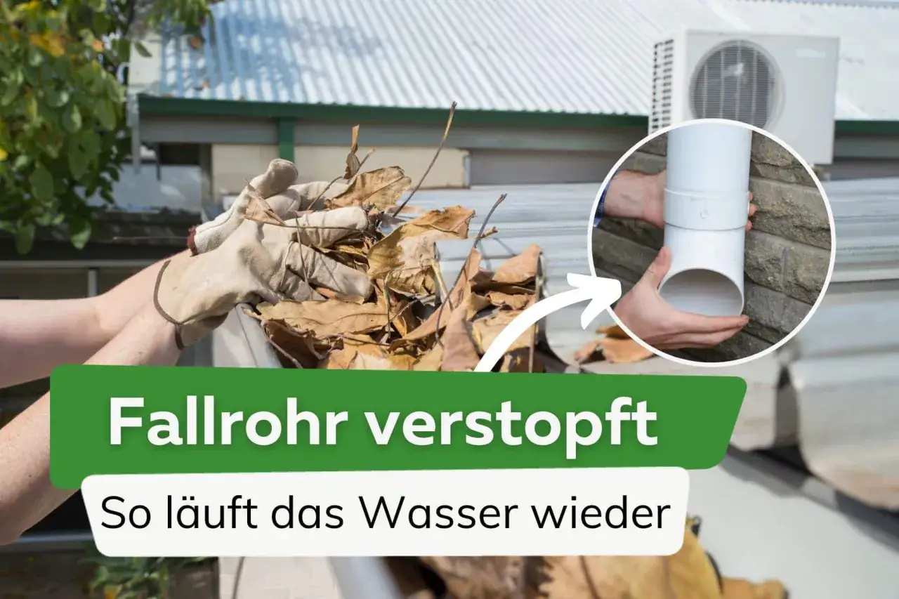 H&auml;nde mit Handschuhen entfernen Laub aus einer Dachrinne. Ein verstopftes Fallrohr wird gezeigt, um zu demonstrieren, wie Wasser wieder abflie&szlig;en kann.