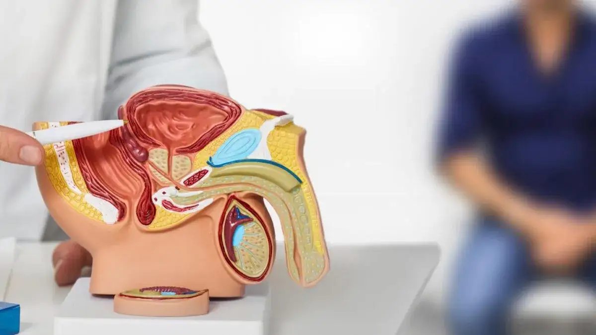 Urologia onkologiczna rak prostaty