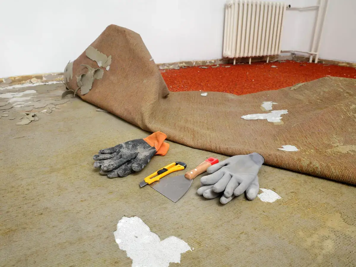 Gants, cutter et spatule pr&ecirc;ts pour enlever colle moquette naturellement. Le tapis est soulev&eacute;, r&eacute;v&eacute;lant le sol.