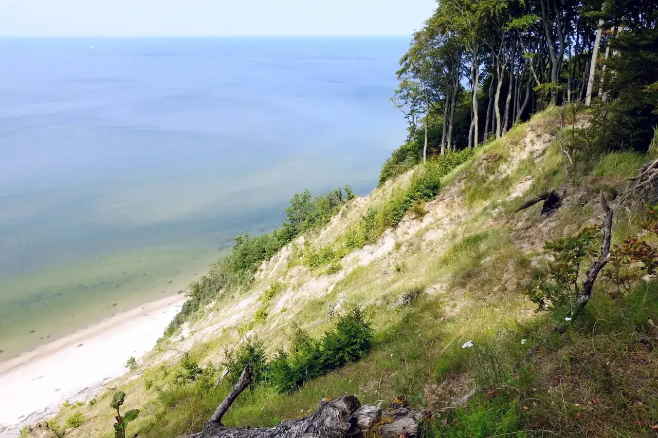 Malownicze plaże w Polsce widziane z klifu porośniętego drzewami. Piasek, morze i zieleń tworzą piękny krajobraz.