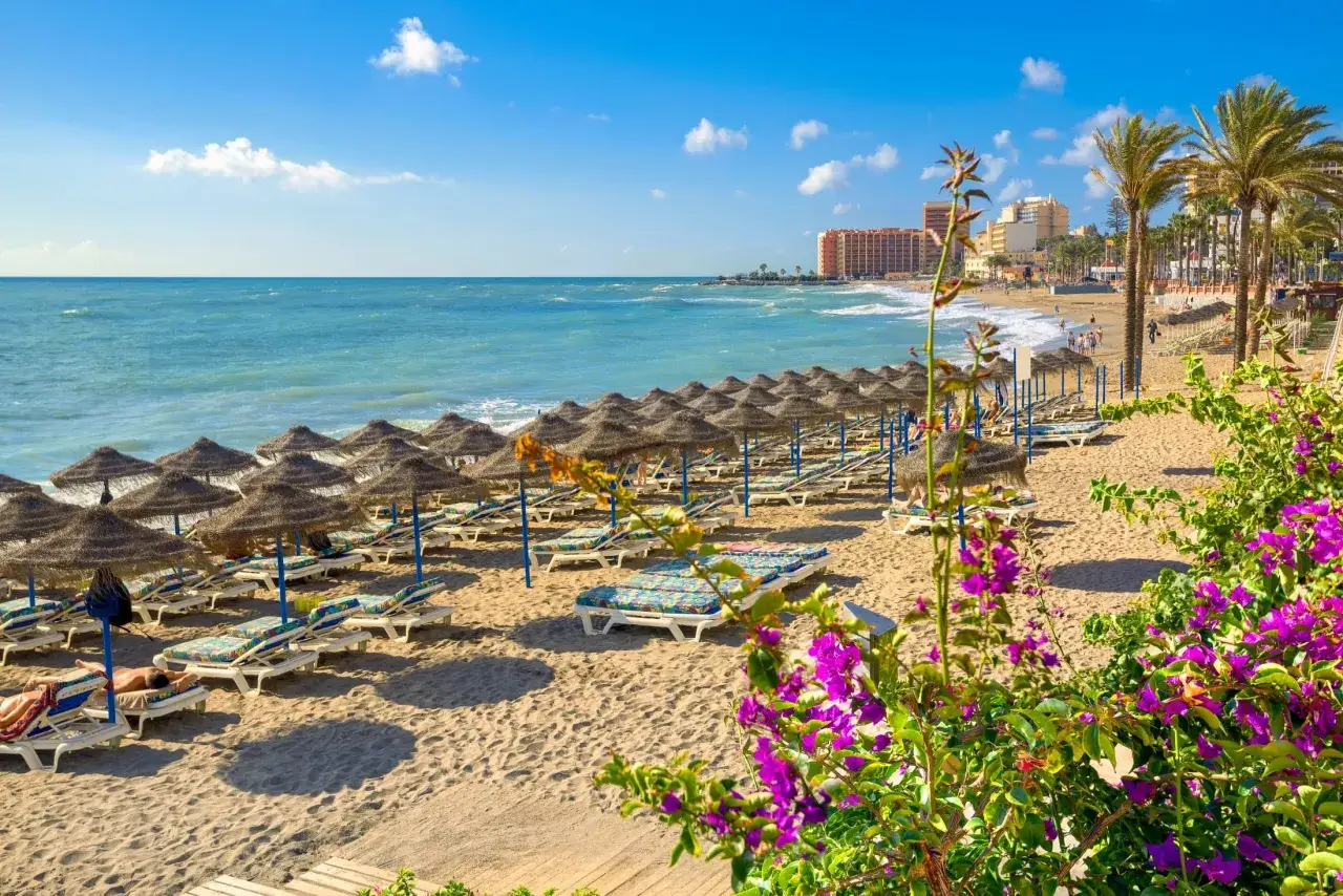 Słoneczna plaża z leżakami i parasolami, palmy i budynki w tle. Idealne miejsce na relaks i odkrywanie atrakcji Costa del Sol.