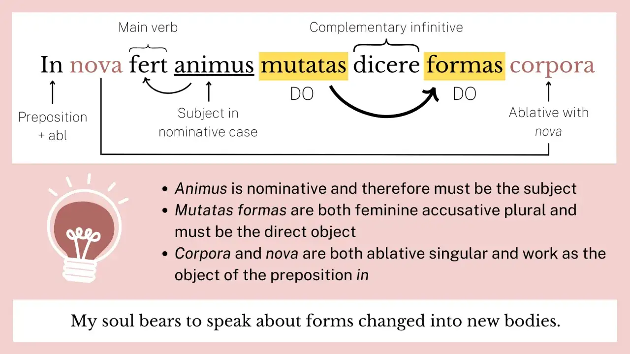 Lateinische Grammatik: Der **imperativ** wird erklärt. Der Satz 