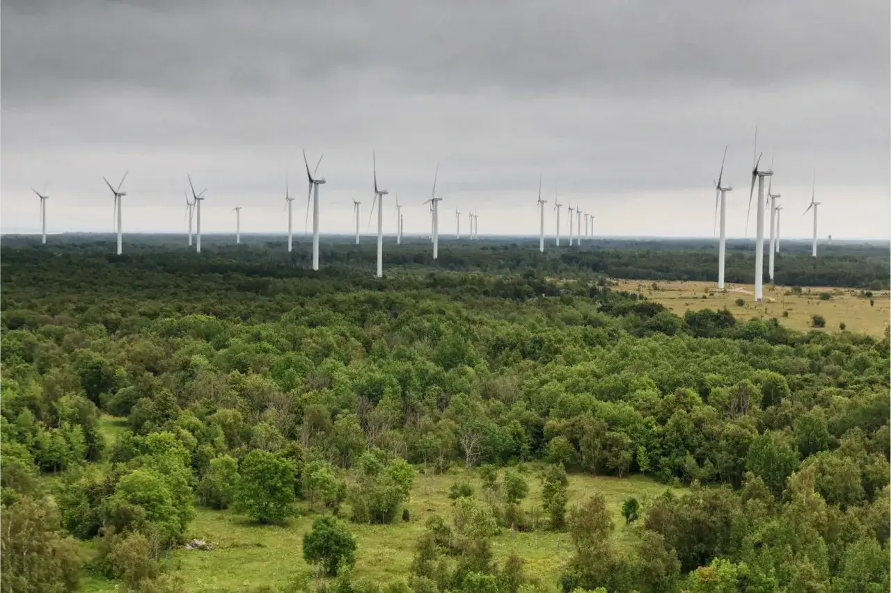 Wielkie elektrownie wiatrowe górują nad gęstym, zielonym lasem, tworząc futurystyczny krajobraz.